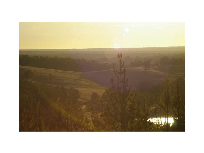 Loc 44 Gypsum Road, Nannup WA 6275