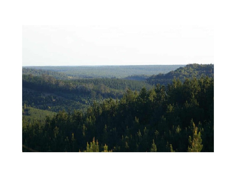 Loc 44 Gypsum Road, Nannup WA 6275