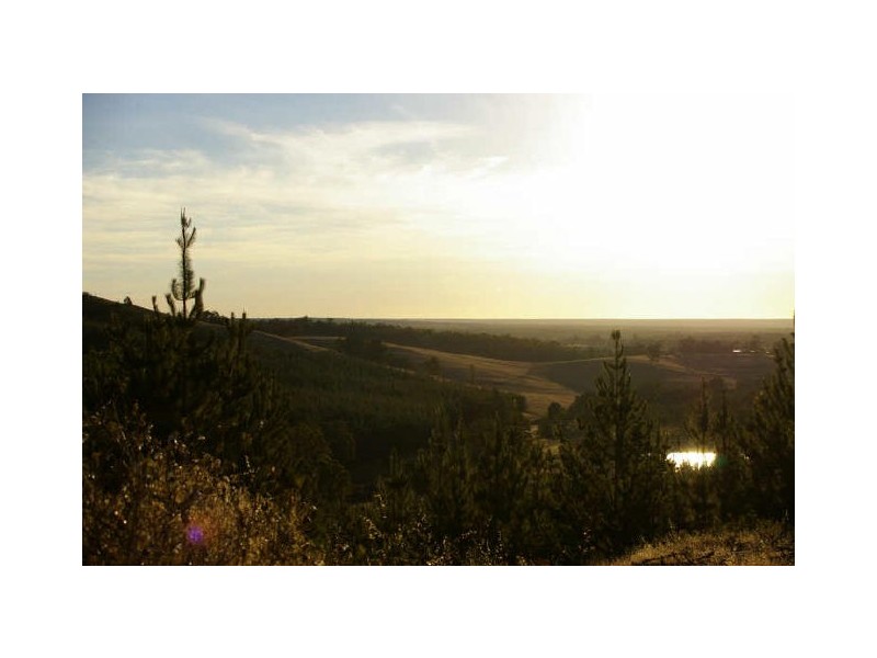 Loc 44 Gypsum Road, Nannup WA 6275