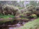 Lot 18 Perks Road, Nannup WA 6275