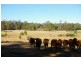 Lot 18 Perks Road, Nannup WA 6275