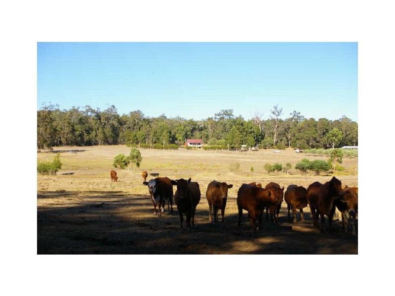 Lot 18 Perks Road, Nannup WA 6275