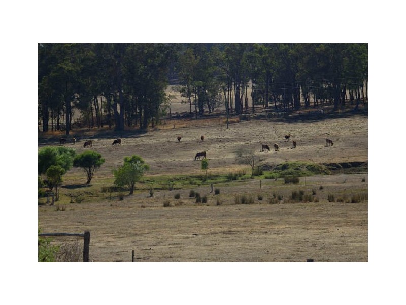 Lot 18 Perks Road, Nannup WA 6275