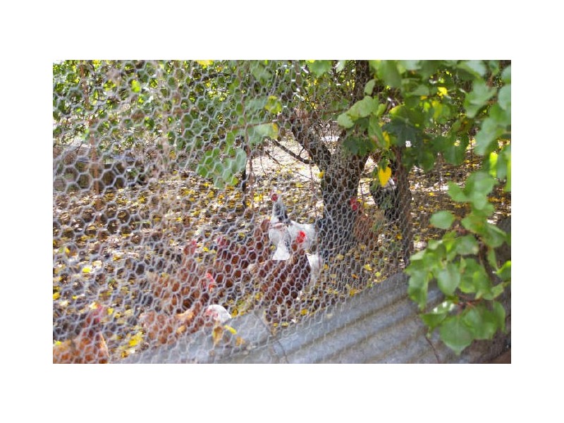 40 North Street, Nannup WA 6275