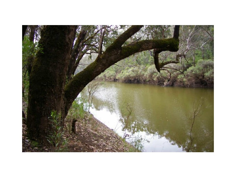 Lot 17 Orchid Place, Nannup WA 6275