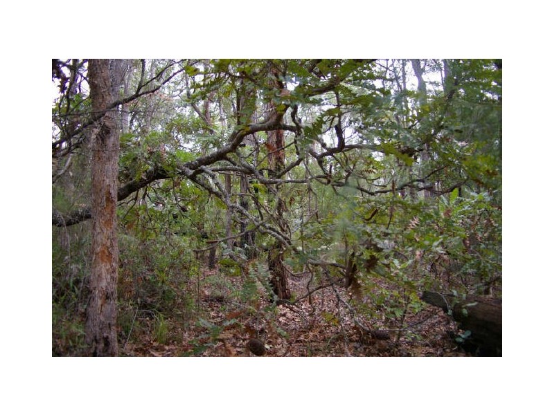 Lot 17 Orchid Place, Nannup WA 6275