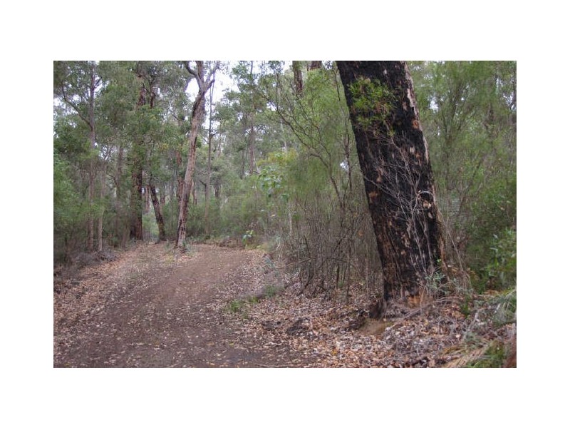 Lot 17 Orchid Place, Nannup WA 6275