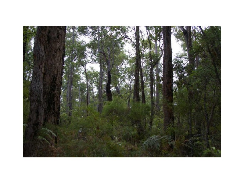 Lot 17 Orchid Place, Nannup WA 6275