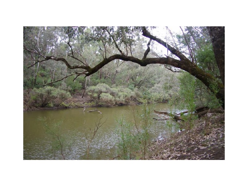 Lot 17 Orchid Place, Nannup WA 6275