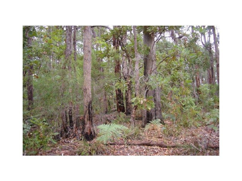 Lot 17 Orchid Place, Nannup WA 6275