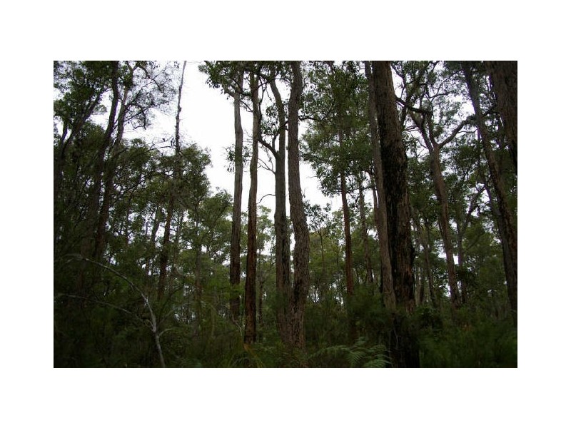 Lot 17 Orchid Place, Nannup WA 6275