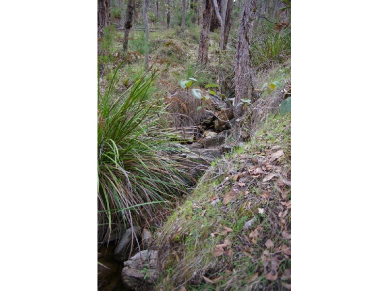 Loc 1331 Boundary Road, Nannup WA 6275