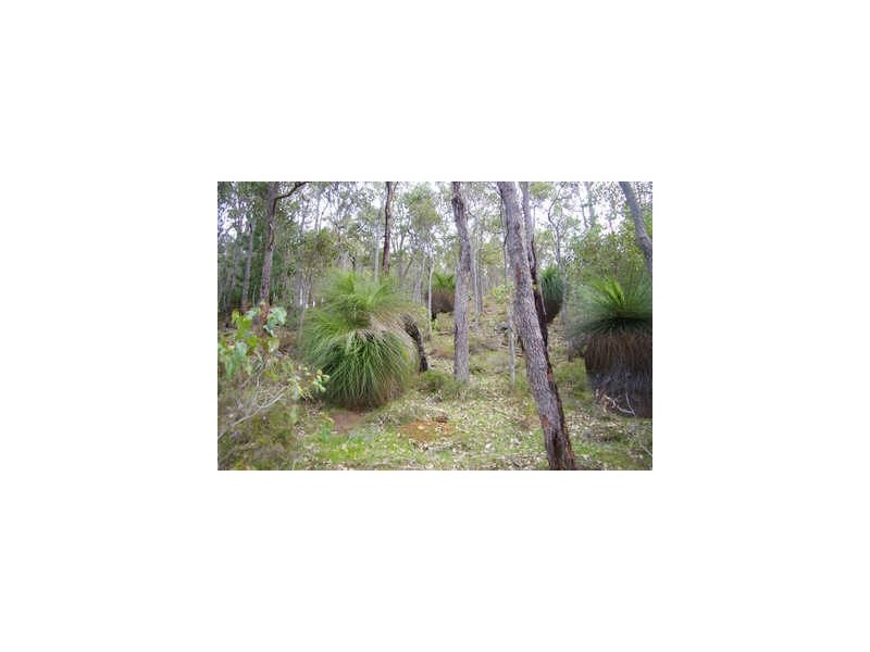 Loc 1331 Boundary Road, Nannup WA 6275