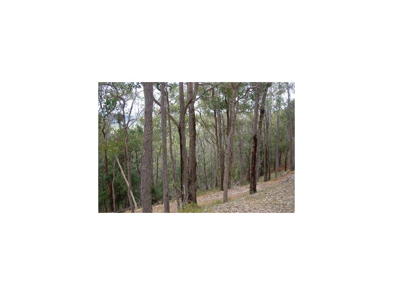 Loc 1331 Boundary Road, Nannup WA 6275