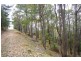 Loc 1331 Boundary Road, Nannup WA 6275