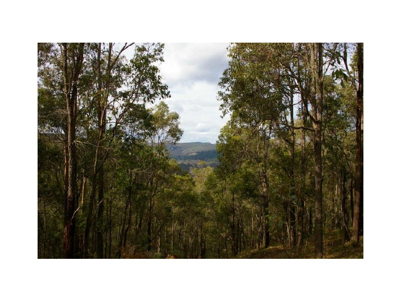 Loc 1331 Boundary Road, Nannup WA 6275