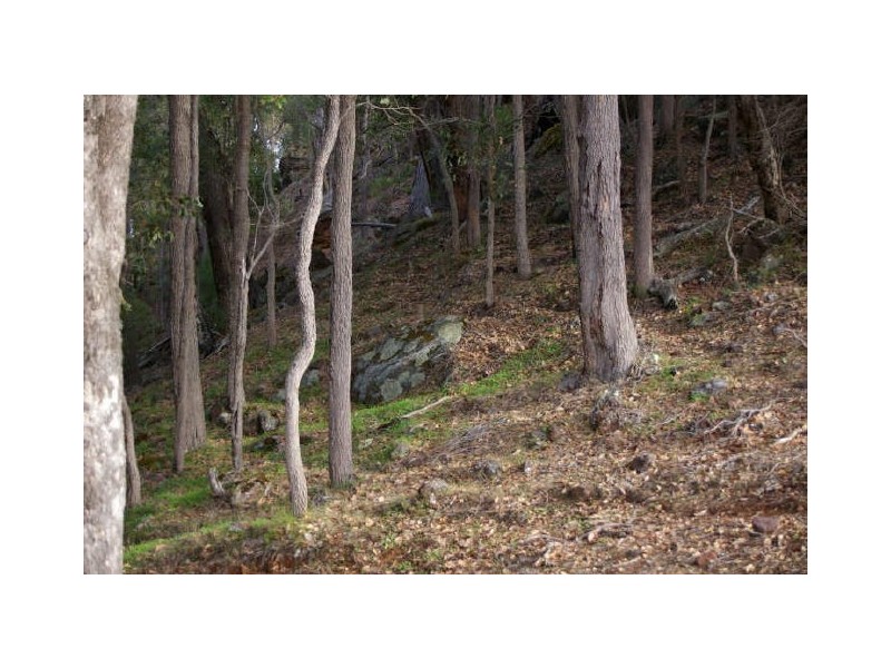 Prop Lot 2/Lot 2 Dean Road, Nannup WA 6275