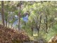 Prop Lot 3/Lot 2 Dean Road, Nannup WA 6275
