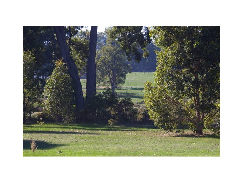 Lot 27 Griffiths Road, Nannup WA 6275