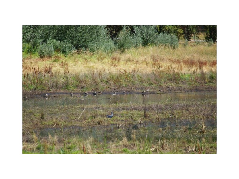 Lot 67 Warren Road, Nannup WA 6275