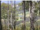 Lot 27 Boundary Rd, Nannup WA 6275
