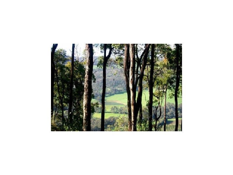 Lot 27 Boundary Rd, Nannup WA 6275