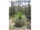 Lot 27 Boundary Rd, Nannup WA 6275