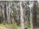 Lot 27 Boundary Rd, Nannup WA 6275