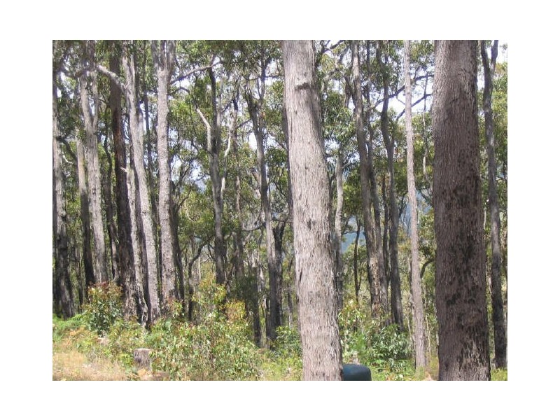 Lot 27 Boundary Rd, Nannup WA 6275
