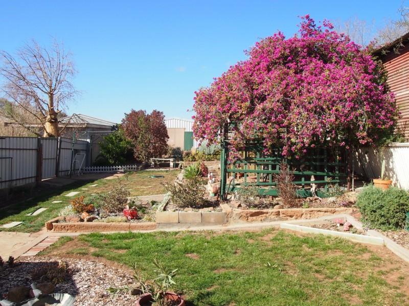 231 Williams Lane, Broken Hill NSW 2880