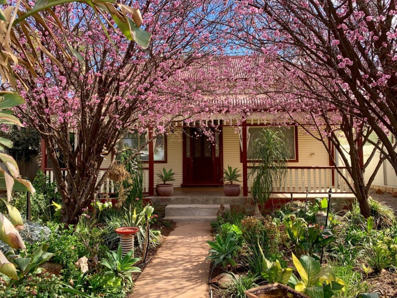 414 Morgan Lane, Broken Hill NSW 2880