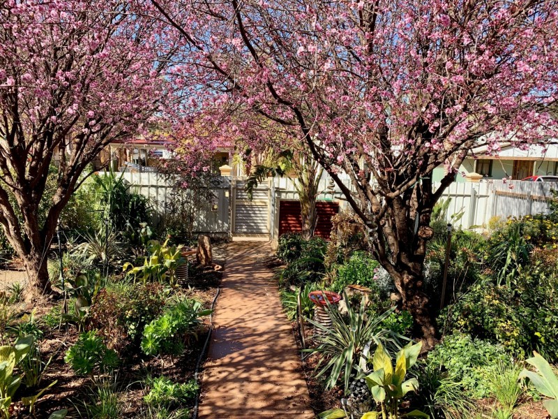 414 Morgan Lane, Broken Hill NSW 2880