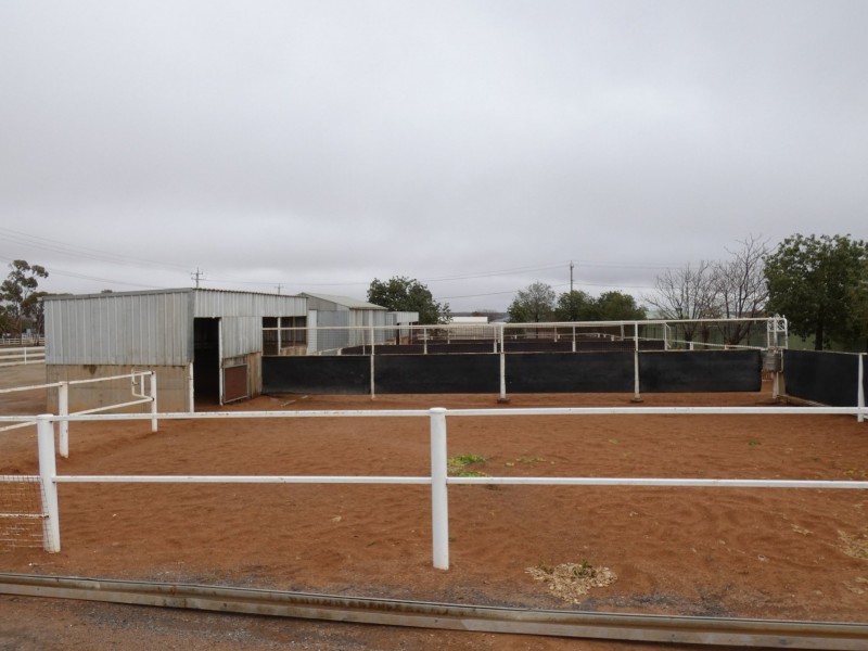 31A Wyman Street, Broken Hill NSW 2880