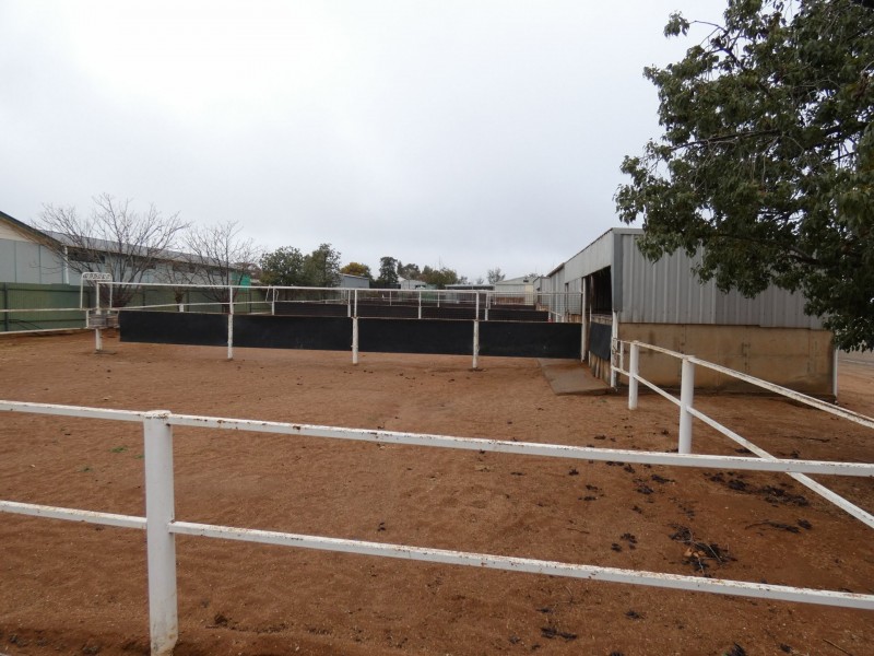 31A Wyman Street, Broken Hill NSW 2880