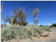 373 Eyre Street, Broken Hill NSW 2880