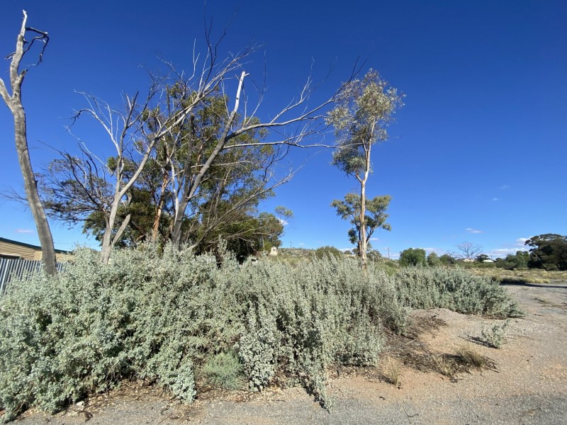 373 Eyre Street, Broken Hill NSW 2880