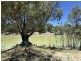 Lot 16 & 6 Pamamaroo Road, Menindee NSW 2879