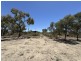Lot 16 & 6 Pamamaroo Road, Menindee NSW 2879