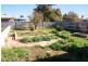 486 Thomas Lane, Broken Hill NSW 2880