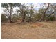 22 Wentworth Road, Menindee NSW 2879