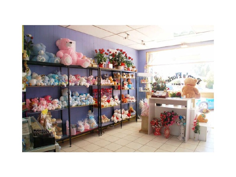 Pam’s Florist/231 Argent Street, Broken Hill NSW 2880