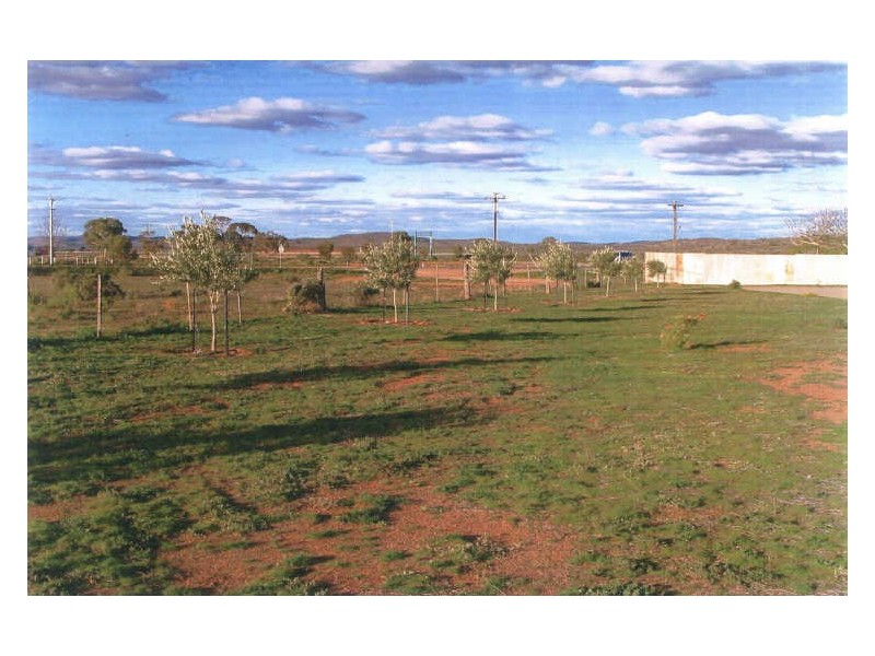 225 Racecourse Road, Broken Hill NSW 2880