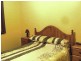 599 Blende Street, Broken Hill NSW 2880