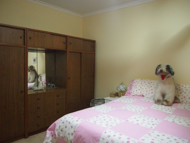 258 Bromide Street, Broken Hill NSW 2880