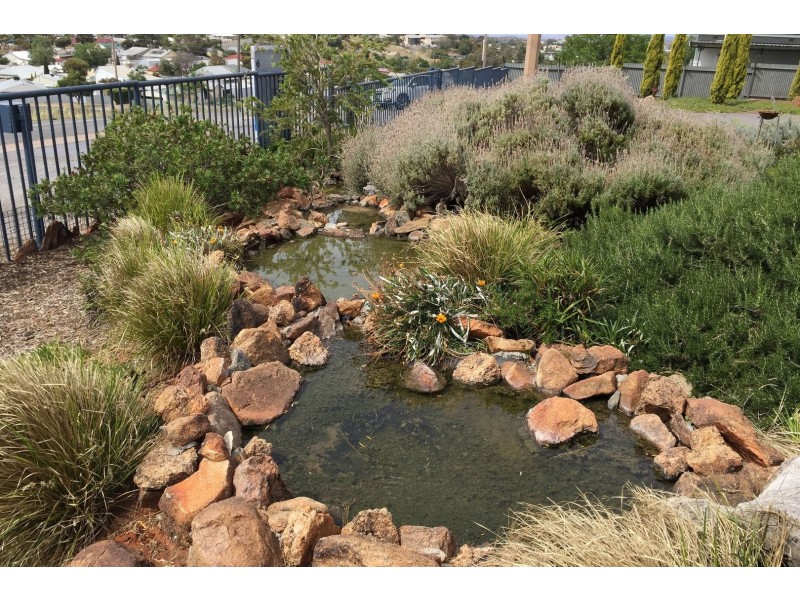 77 Thomas Street, Broken Hill NSW 2880