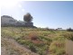 115 Morgan Street, Broken Hill NSW 2880