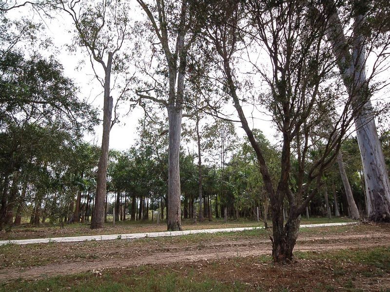 Joyner QLD 4500