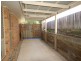 12 Camion Court, Petrie QLD 4502