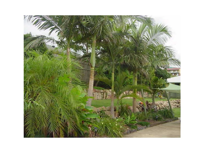 1 Valmadre Court, Petrie QLD 4502