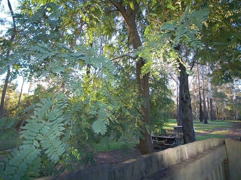 24 Killara Crescent, Petrie QLD 4502